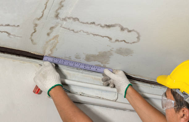 Reliable Burst Pipe Cleanup contractor in Presho, SD by Water Damage Irwin